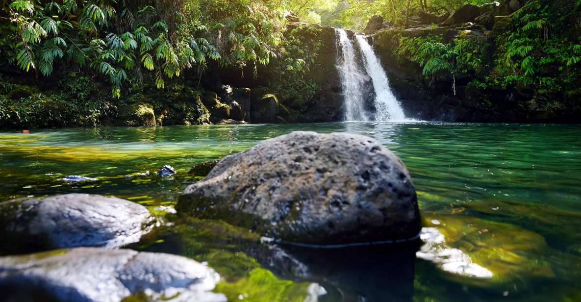 Kahului: Guided Rainforest and Waterfall Walk - Why This Kahului Waterfall Walk Feels Worth Your Time