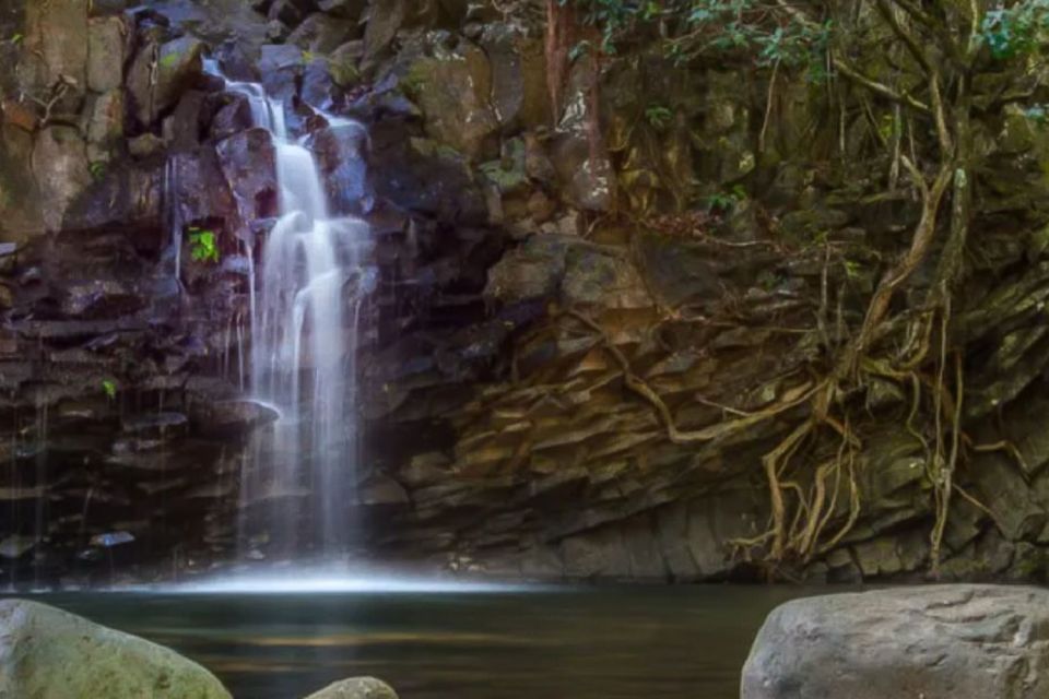 Kahului: Guided Rainforest and Waterfall Walk - What You Bring (and What You Don’t) for a Smooth Waterfall Day