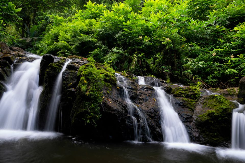 Kahului: Guided Rainforest and Waterfall Walk - Price and Value: Is $120 a Fair Deal?