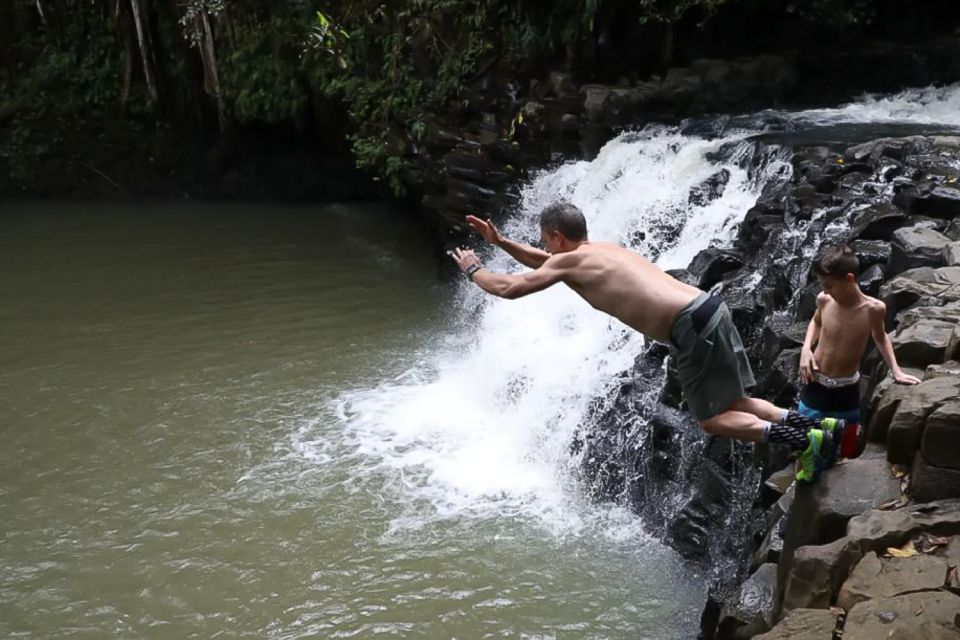 Kahului: Guided Rainforest and Waterfall Walk - Should You Book the Kahului Guided Rainforest and Waterfall Walk?