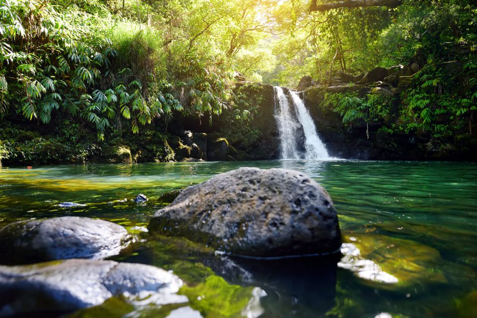 Kahului: Guided Rainforest and Waterfall Walk - The 3-Hour Flow: From Rainforest Stroll to Twin Falls