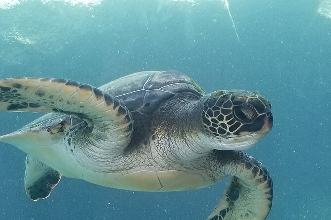 Kayak and Snorkel: Maui West Shore - Ukumehame Beach Park: How the Paddle Loop Really Feels