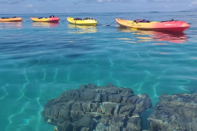 Kayak and Snorkel: Maui West Shore - Price and Value: What You’re Paying For at $118.84