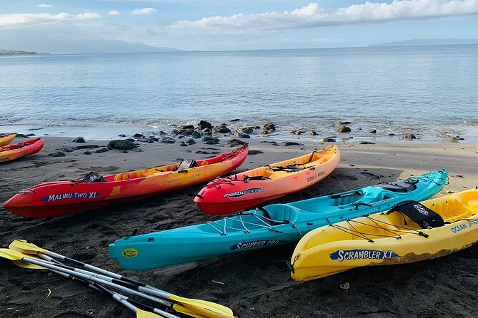 Kayak and Snorkel: Maui West Shore - Should You Book This Maui West Shore Kayak and Snorkel Tour?