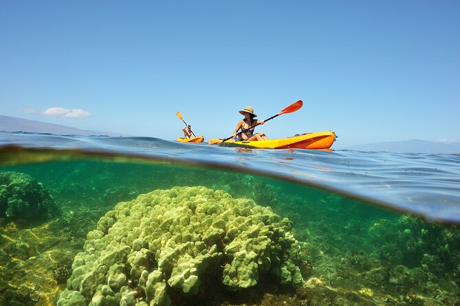 Kayak and Snorkel: Maui West Shore - What You’ll See: Coral Reefs and Green Sea Turtles