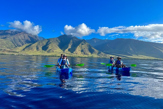 Kayak & Turtle Town Snorkel(Turtles Guaranteed) + Whale Watching - Key things I’d circle on your plan