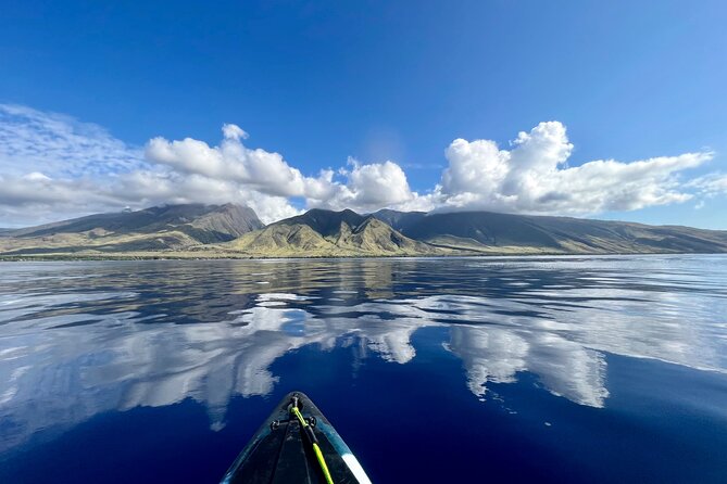 Kayak & Turtle Town Snorkel(Turtles Guaranteed) + Whale Watching - Olowalu’s West Maui Start: Easy Access, Real Reef Water