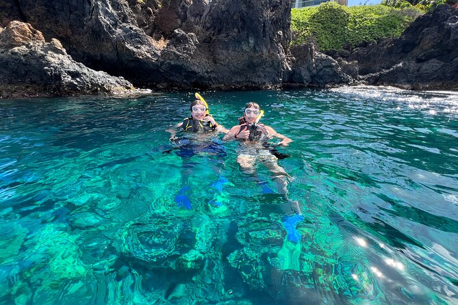 Kayak & Turtle Town Snorkel(Turtles Guaranteed) + Whale Watching - Guides, Small Groups, and How Coaching Changes Everything