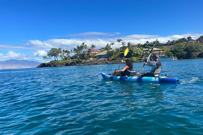 Kayak & Turtle Town Snorkel(Turtles Guaranteed) + Whale Watching - Price and Value: Why $119 Can Make Sense Here