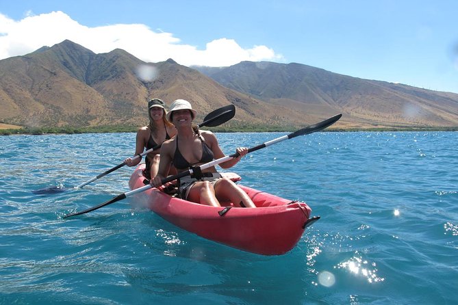 Lahaina Kayak and Snorkel Excursion - Why the calm-water setting matters more than you think