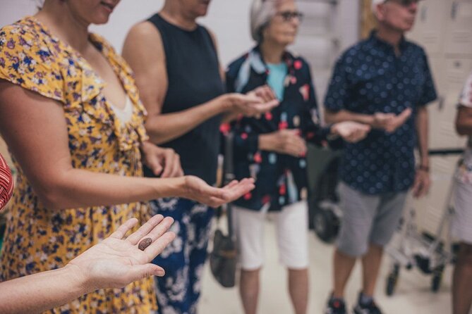 Lahaina Maui Ku'ia Estate Chocolate Factory Experience - What You’re Really Doing at Ku’ia Estate in 90 Minutes