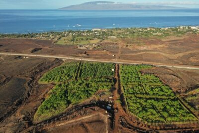 Lahaina: Maui Ku'ia Estate Guided Cacao Farm Tour and Tasting - The Drive to the Cacao Estate: West Maui Hills and 20+ Acres