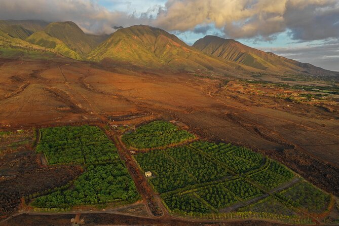 Lahaina: Maui Ku'ia Estate Guided Cacao Farm Tour and Tasting - Price and Value: What $99.48 Buys You on Maui