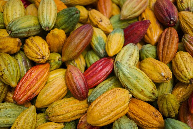 Lahaina: Maui Ku'ia Estate Guided Cacao Farm Tour and Tasting - Who This Tour Fits Best (And Who Might Skip It)