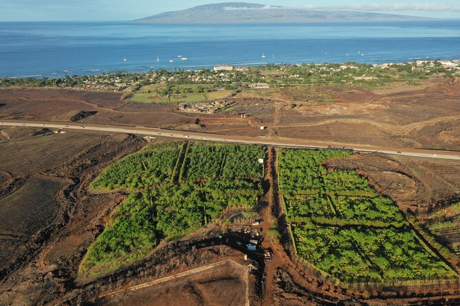 Lahaina: Maui Ku'ia Estate Guided Cacao Farm Tour and Tasting - The Drive to the Cacao Estate: West Maui Hills and 20+ Acres