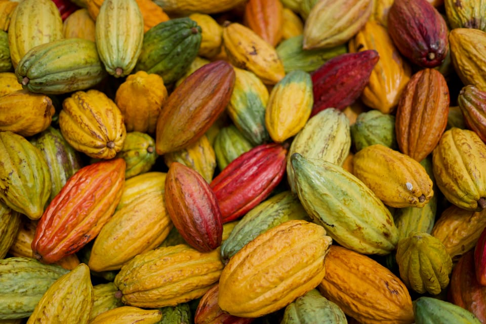 Lahaina: Maui Ku'ia Estate Guided Cacao Farm Tour & Tasting - Maui Ku’ia Estate in Lahaina: what makes it more than a chocolate stop