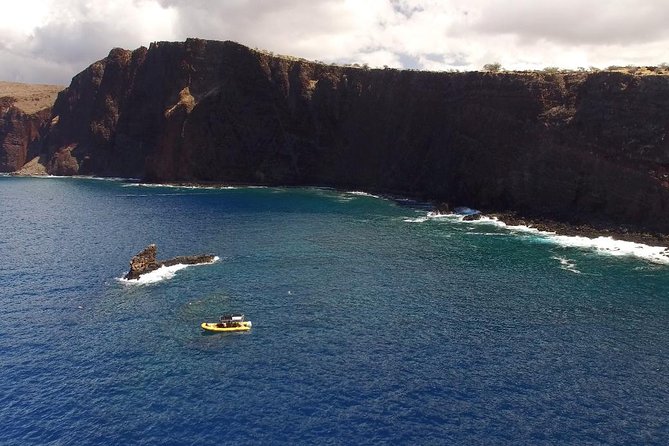 Lanai Deluxe Dolphin Adventure & 3 Snorkel Sites - Quick Snapshot: Lanai Deluxe Dolphin Adventure at a Glance