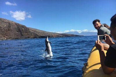 Lanai Deluxe Dolphin Adventure & 3 Snorkel Sites - The 8am to 2pm Flow: How the Day Feeds You