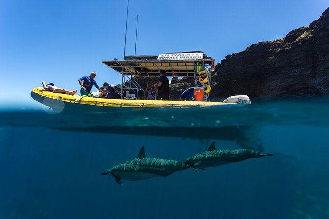Lanai Deluxe Dolphin Adventure & 3 Snorkel Sites - Dolphin Encounters: Spinner and Bottlenose, Plus the Joy of Big Pods