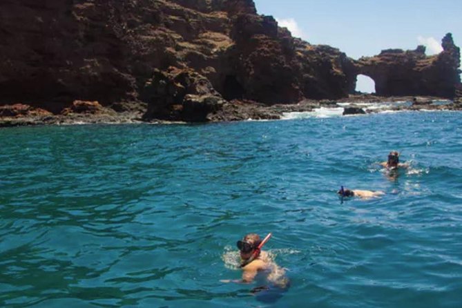 Lanai Snorkel and Dolphin Watch from Maalaea - Dolphin watch: spinner dolphins near the boat
