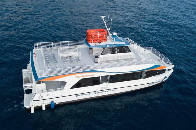 Lanai Snorkel and Dolphin Watch from Maalaea - BYOB on the water: what’s allowed