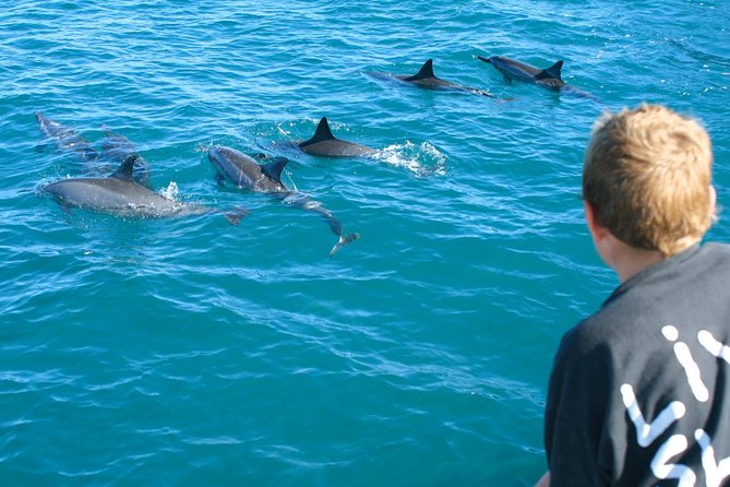 Lanai Snorkel and Dolphin Watch from Maalaea - The double-deck eco catamaran: comfort you’ll actually use