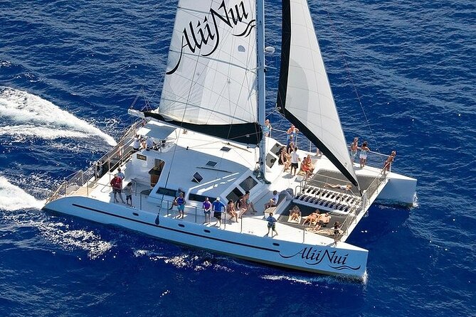 Luxury Catamaran Whale Watch - The cruise comfort: panoramic decks, shade, and room to breathe