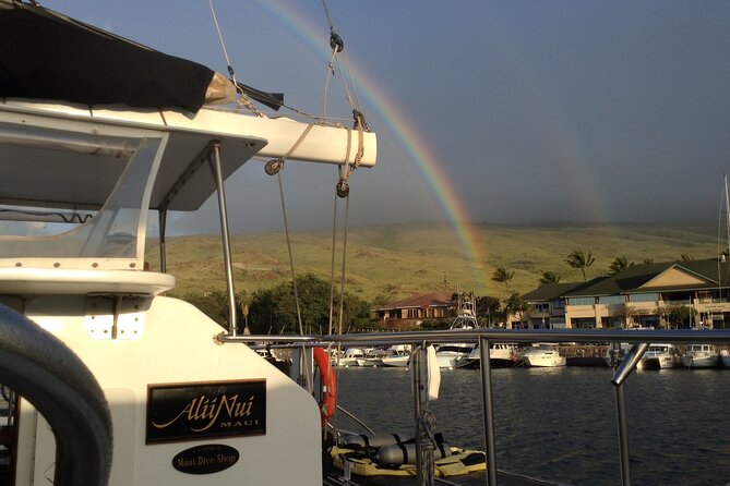Luxury Catamaran Whale Watch - Premium open bar and snacks: the value angle you’ll care about