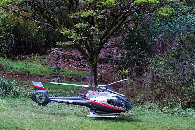 Luxury Helicopter Experience with Hana Rainforest Landing - The north coast flight: sea cliffs, waterfalls, Paia, Hookipa, Haiku, and Jaws