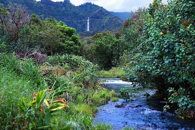 Luxury Helicopter Experience with Hana Rainforest Landing - Timing that actually works: 1 hour 15 minutes, with two distinct experiences