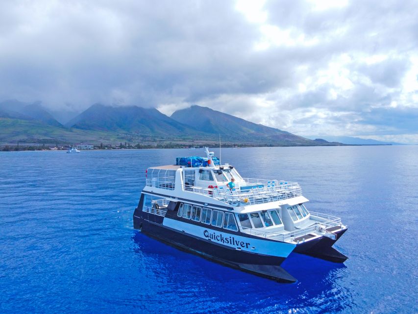 Ma'alaea Harbor: Whale Watching Tour Aboard Power Catamaran - Key highlights I’d plan around