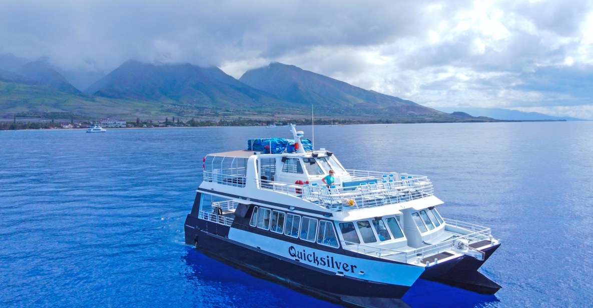 Ma'alaea Harbor: Whale Watching Tour Aboard Power Catamaran - The real stars: humpback whales and the behaviors you’re hunting for