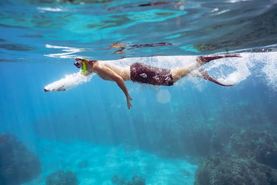 Maalaea: West Maui Snorkeling & Sailing Day Trip with Lunch - Key highlights to know before you go