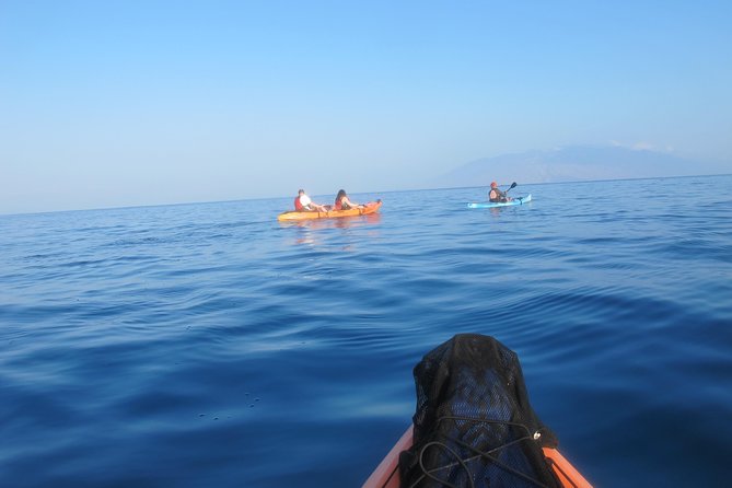 Makena Turtle Town Eco Adventure in Maui - Stop 1 and Stop 2: two snorkeling sights for better odds