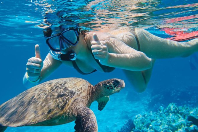 Makena Turtle Town Eco Adventure in Maui - From Makena Landing Park to the water: the start that sets expectations