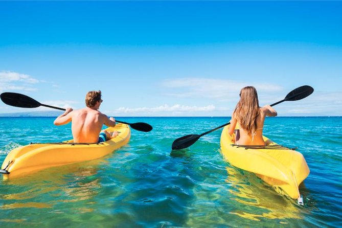 Makena-Wailea Explorer Trip in Maui - Turtle Town paddling: your best shot at green sea turtles and dolphins