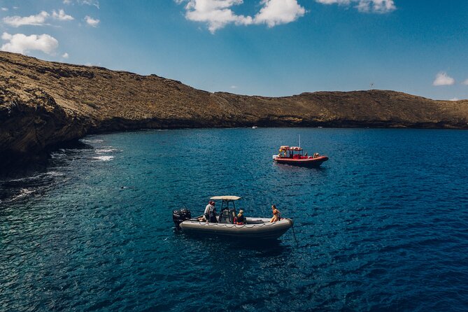 Maui: 2-Hour Molokini Snorkel Trip - Is $143.93 Worth It for Two Hours at Molokini?
