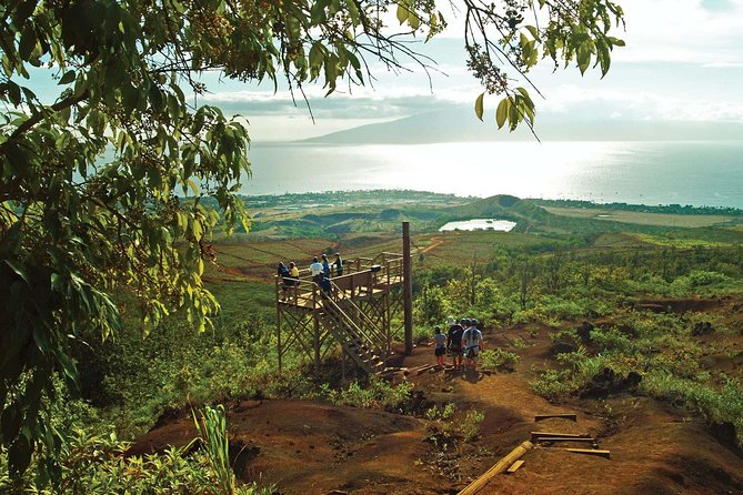 Maui 8 line Zipline Adventure: Soar above valleys & Island views - Key highlights that matter most