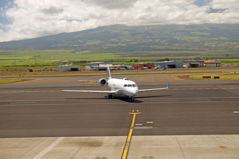 Maui Airport Custom Lei Greeting - Choose Your Lei - Photos, First Impressions, and the Little Help That Changes Your Day