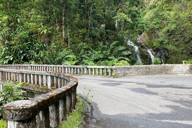 Maui by Storm: Epic Private Luxury Road to Hana Adventure Tour - Hana Highway: the scenic drive that eats the day
