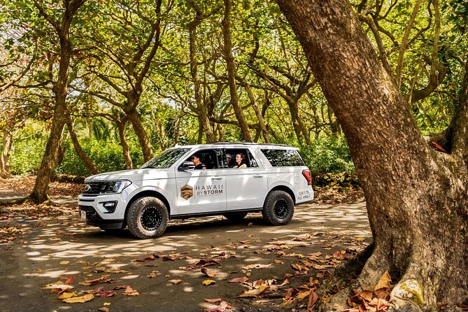 Maui by Storm: Epic Private Luxury Road to Hana Adventure Tour - Charles Lindbergh’s Grave and the option to keep moving