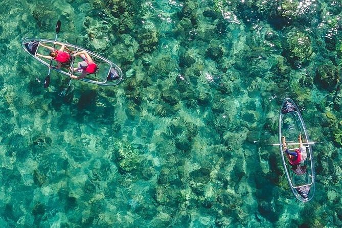 Maui Clear Kayak and Snorkel Tour: Swim with turtles (Makena) - Quick hits before you go