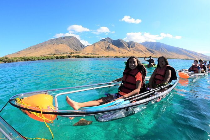 Maui Clear Kayak and Snorkel Tour: Swim with turtles (Makena) - Wildlife odds: turtles, manta rays, reef fish, and winter whales