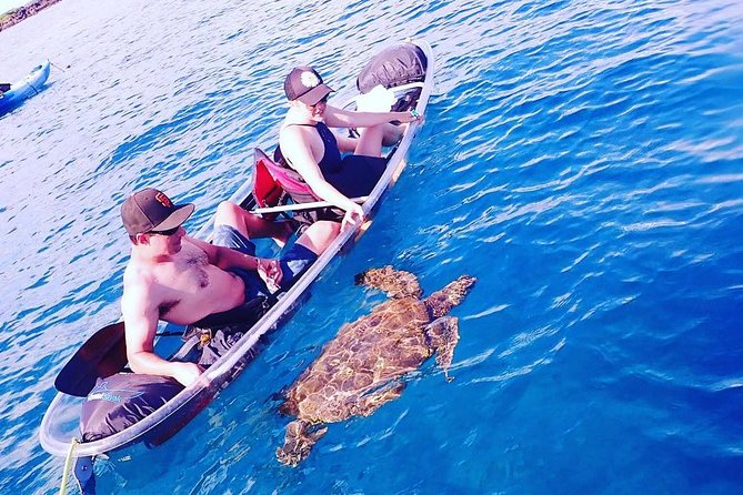 Maui Clear Kayak and Snorkel Tour: Swim with turtles (Makena) - The guides: safety-first, with real personality