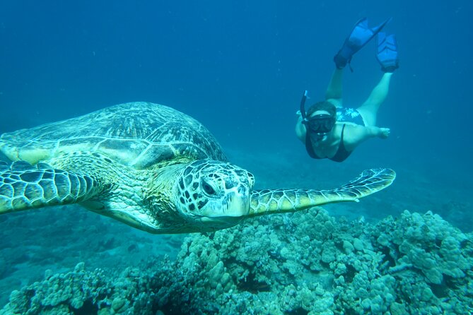Maui Clear Kayak and Snorkel Tour: Swim with turtles (Makena) - Views while you paddle: more than just underwater watching