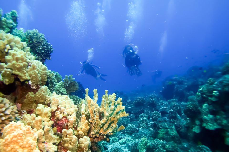 Maui: Eco-Friendly Molokini & Turtle Town Tour with Meals - Is $199 good value for Maui snorkeling?