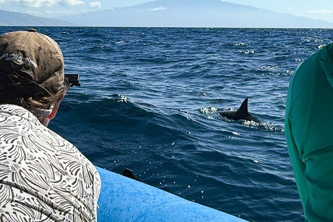 Maui Eco-Raft: 2 Hour Dolphin Watch Sightsee Tour (Semi-Private) - Lahaina Dolphin Watch, Without the Crowd-Noise