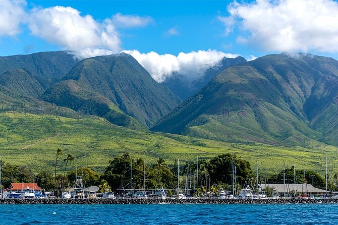 Maui Eco-Raft: 2 Hour Dolphin Watch Sightsee Tour (Semi-Private) - Snacks, Drinks, and the Lunch Wrap Upgrade