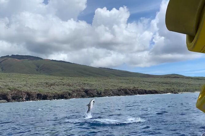 Maui Eco-Raft: 2 Hour Dolphin Watch Sightsee Tour (Semi-Private) - Who This Tour Fits Best (And Who Should Skip It)