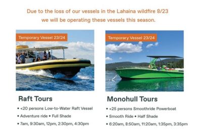 Maui Eco-Raft Tour: Eye-Level Whale or Dolphin Watching - Lahaina - Seasons and What You’ll Actually See: Whales vs Dolphins